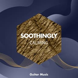 zZz Soothingly Calming Guitar Music zZz - Palm Analogue