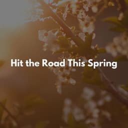 Staycation Music 2023 - Cafeteria Musica de lujo