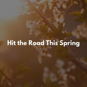 Staycation Music 2023 - Cafeteria Musica de lujo