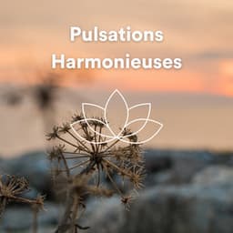 Pulsations Harmonieuses - Zen Ambiance D'eau Calme