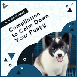 Compilation to Calm Down Your Puppy - Dog Music Hour