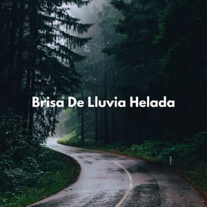 Brisa De Lluvia Helada - Lluvia Sonidos FX