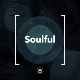 Soulful - Heavy Rain Sounds