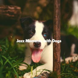 Jazz Moments with Dogs - Cute Doggy Music