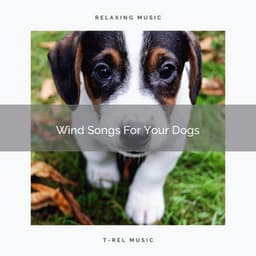Wind Songs For Your Dogs - Pets Total Relax