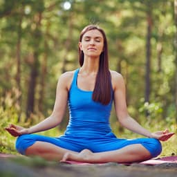 Radiant Silence: Lofi Meditation's Ethereal Journey to Serenity - Simple Lo-Fi