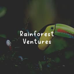 Rainforest Ventures - Rainforest Ambience