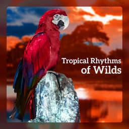 Tropical Rhythms of Wilds - Exotic Nature Kingdom
