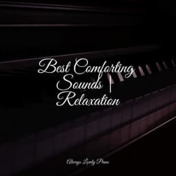 Ultimate Compilation of Piano Tracks - Relaxar Piano Musicas Coleção