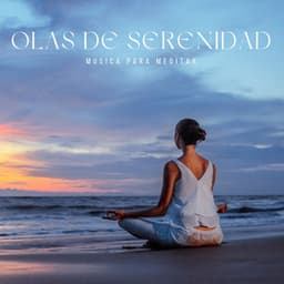 Olas de Serenidad: Música de Spa - Musica para Meditar