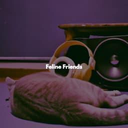 Feline Friends - Hotel Chillout Lounge