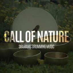 Call of Nature. Shamanic Drumming Music for Meditation & Spiritual Retreat, Stress Relief, Soothing New Age Background Music - Project!Yoga Meditation