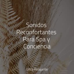 Sonidos Reconfortantes Para Spa y Conciencia - Canção de Ninar Bebê
