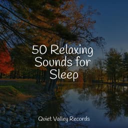 50 Relaxing Sounds for Sleep - Spa Music Collective