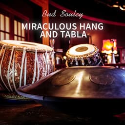 Miraculous Hang and Tabla - Bud Souley