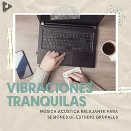 Música Acústica Relajante Para Sesiones De Estudio Grupales - Vibraciones Tranquilas