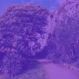 Feelings for Storytelling - Vintage Cafe Playlist