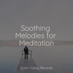 Soothing Melodies for Meditation - Musica Para Dormir y Sonidos de la Naturaleza