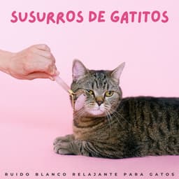 Susurros De Gatitos: Ruido Blanco Relajante Para Gatos - Ruido blanco estático de TV