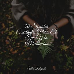 50 Sonidos Excitantes Para El Spa Y la Meditación - Relajación