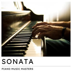 Sonata: Relaxing Piano Playlist - Piano Music Masters