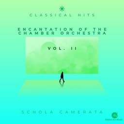 Encantation of the Chamber Orchestra Vol. Ii - Classical Hits