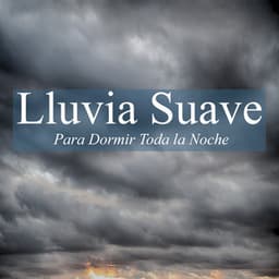 Lluvia Suave Para Dormir Toda la Noche - Sonidos Relajantes de la Naturaleza by Beneluxa