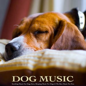 Dog Music: Soothing Music For Dogs Ears, Sleeping Music For Dogs & The Best Music For Pets - Harper Zen