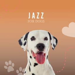 Jazz For Dogs - Pet Music Therapy