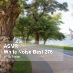 White Noise ASMR Best 276 - White Noise