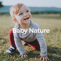 1 Hour Baby Nature Sounds - chillchild