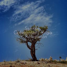 Sonidos Calmantes | Yoga Y Relajación - Meditación Maestro