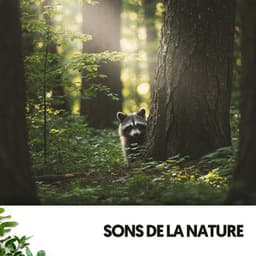 Sons de la Nature: Mélodies de la Terre - Dog Relaxation