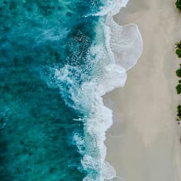 10 AM Wellness: Flow - Coastal Sounds