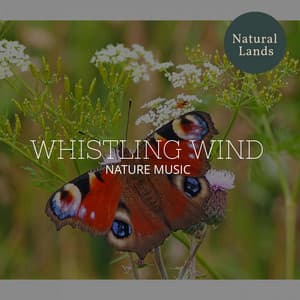 Whistling Wind - Nature Music - Sleepy Times