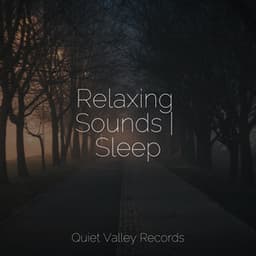 Relaxing Sounds | Sleep - Meditação Clube
