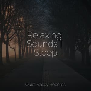 Relaxing Sounds | Sleep - Meditação Clube
