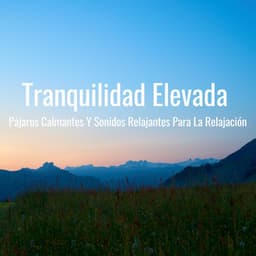 Tranquilidad Elevada: Pájaros Calmantes Y Sonidos Relajantes Para La Relajación - Sonidos De Pajaros