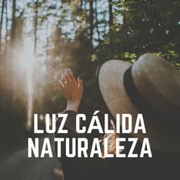 Luz Cálida Naturaleza - Sonidos de la Naturaleza para Dormir
