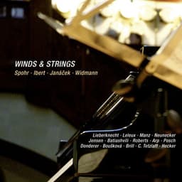 Winds & Strings: Spohr, Ibert, Janacek & Widmann - Andrea Lieberknecht