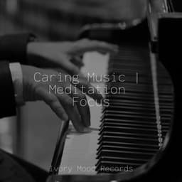 Caring Music | Meditation Focus - Jazz Piano Essentials