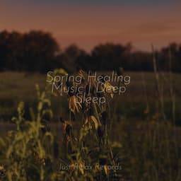 Spring Healing Music | Deep Sleep - Brain Study Music Guys
