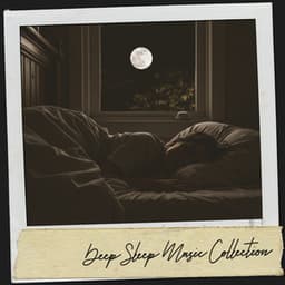 Deep Sleep Music Collection: Lullabies for the Soul - Cat Music Therapy