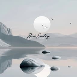 Where Shadows Dance with Starlight - Bud Souley