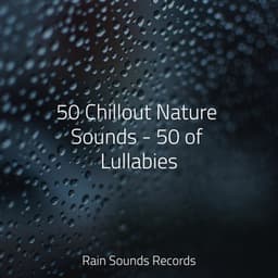 50 Chillout Nature Sounds - 50 of Lullabies - Sleep Baby Sleep