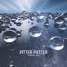 Pitter Patter - Raindrops Sleep