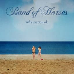 Why Are You OK - Band of Horses