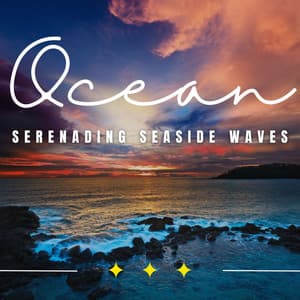 Seaside Meditation: Binaural Ocean Soundscapes - Meditation Music Playlist