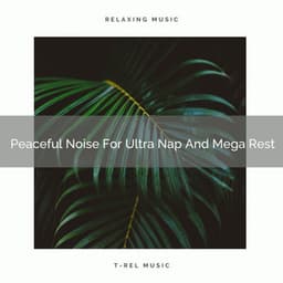 Peaceful Noise For Ultra Nap And Mega Rest - Sleepy Noise