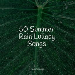 50 Summer Rain Lullaby Songs - Natural Sounds